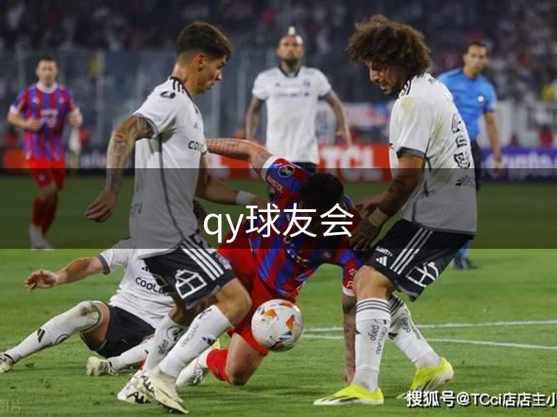 企业体系